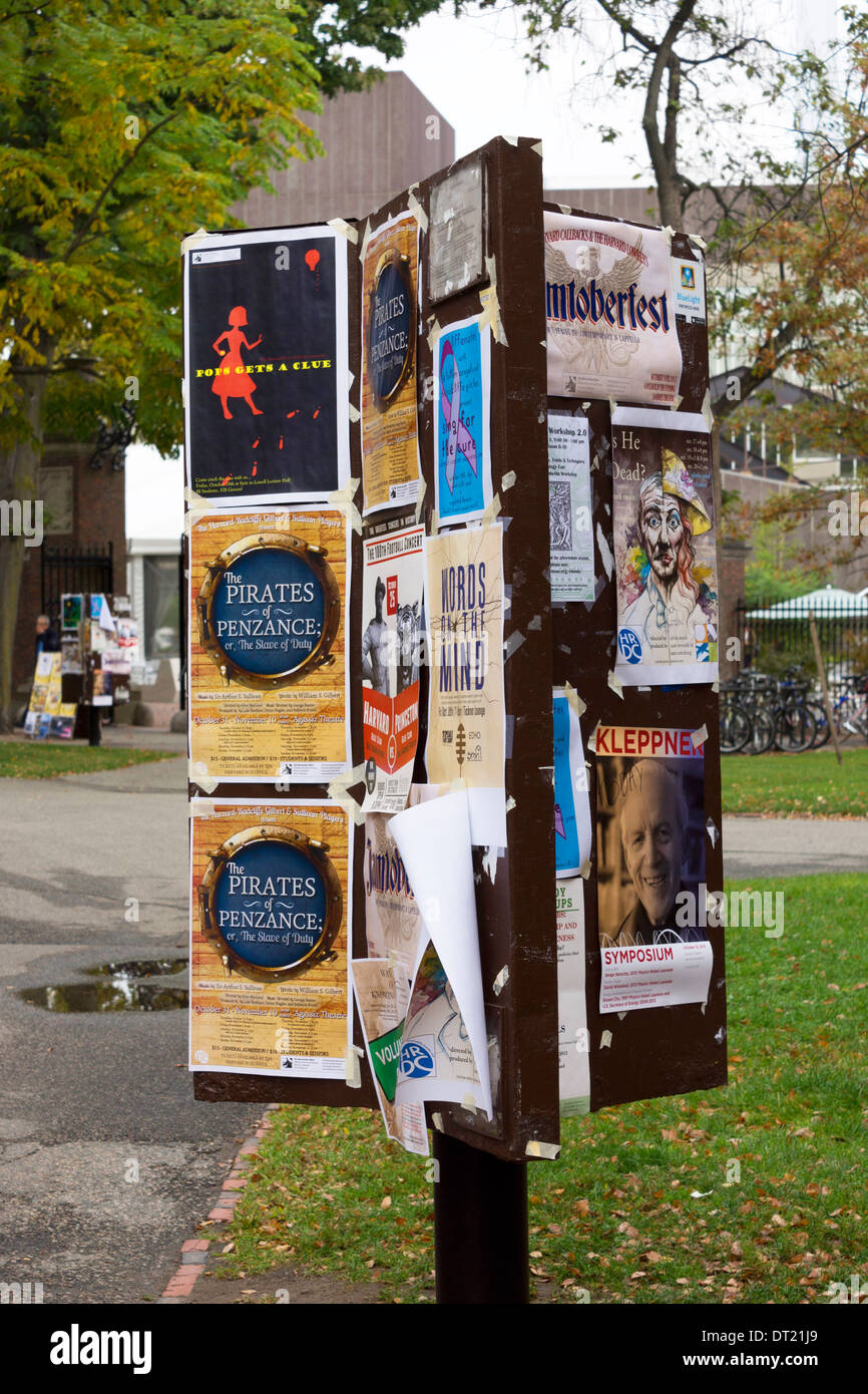Notice board on the campus of Harvard University, Boston, Massachusetts, USA Stock Photo Alamy