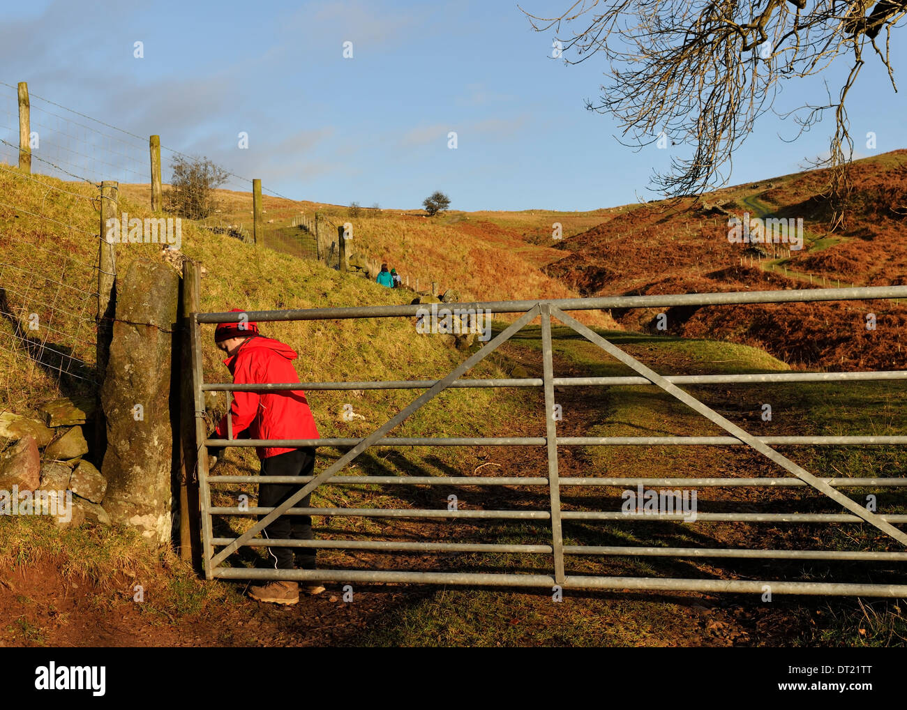 'Keeping granddad out', Boxing-day walk, Newbiggin Fell, Cumbria, England Stock Photo