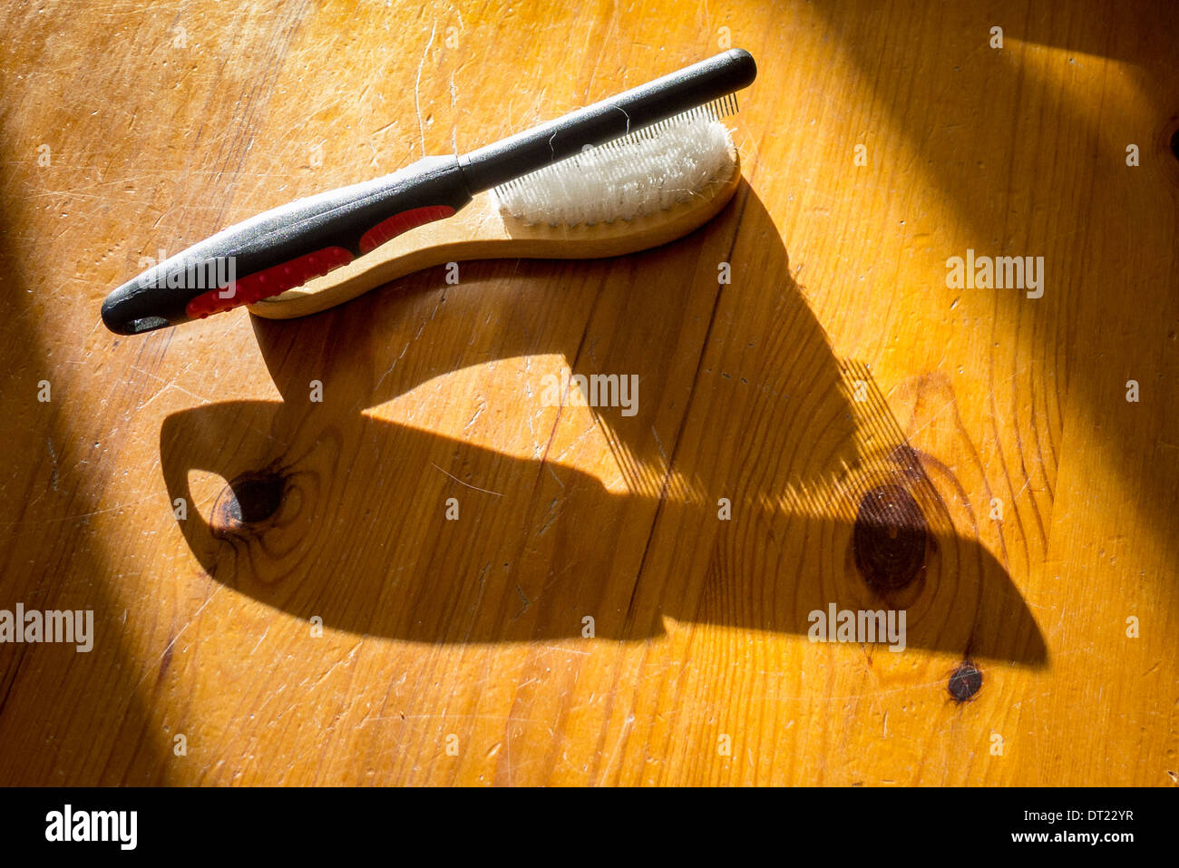 Brush and comb for grooming pet cats or dogs Stock Photo
