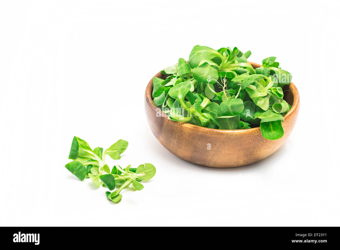 Corn salad in a wooden bowl on white background Stock Photo