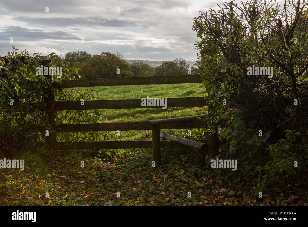 Stile over a fence in the countryside Stock Photo