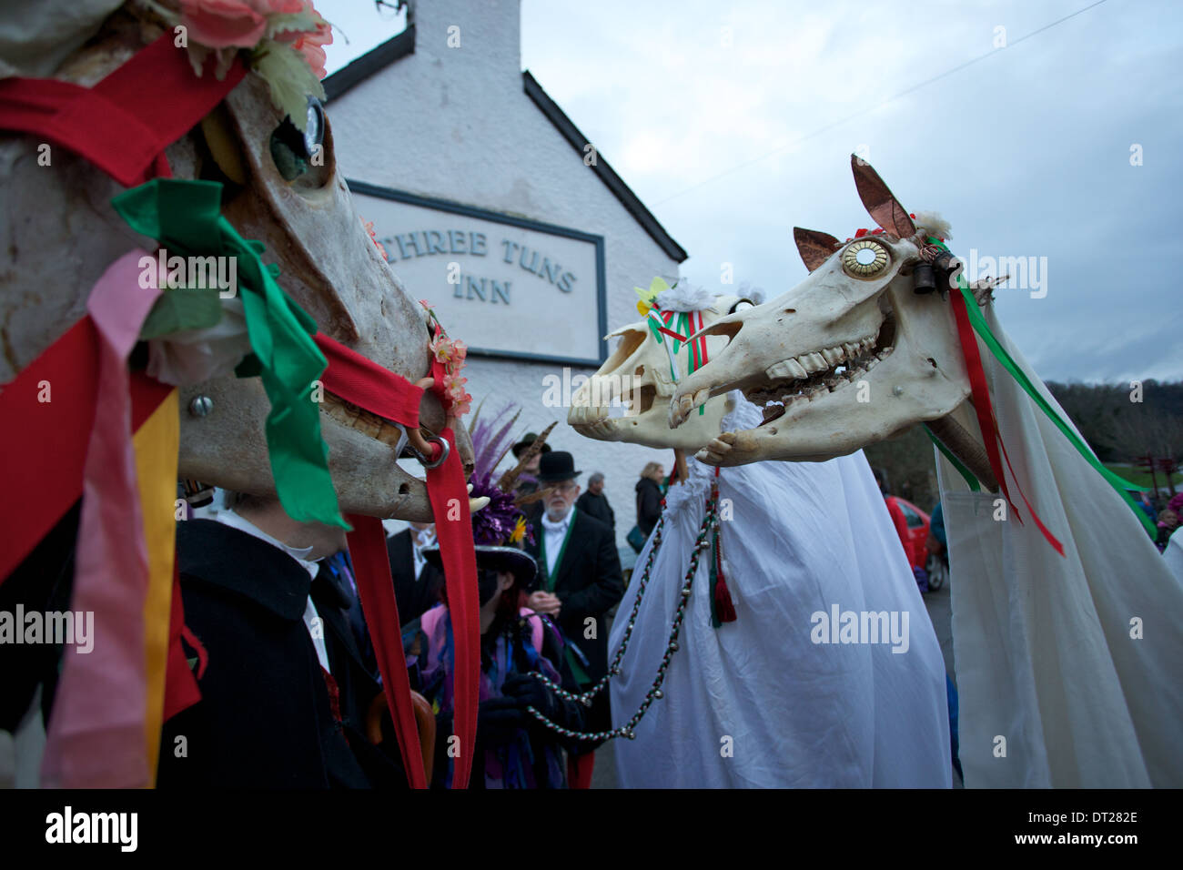 'Mari Lwyd' or Grey Mare celebrations at Chepstow Wales UK a Welsh