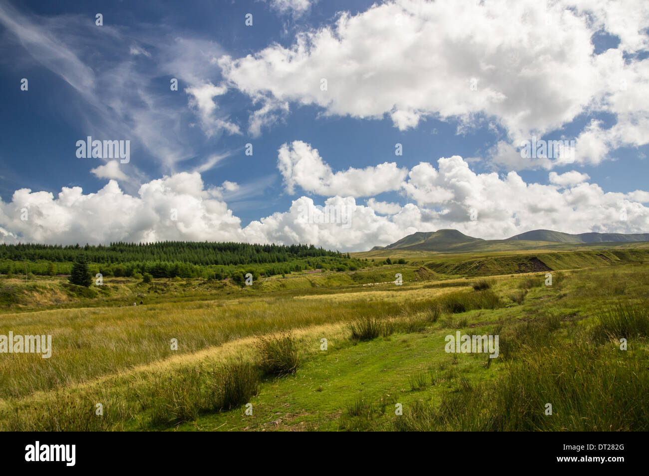 View of the valley in Black Mountains region, Brecon Beacons, Bannau Brycheiniog National Park Wales United Kingdom UK Stock Photo