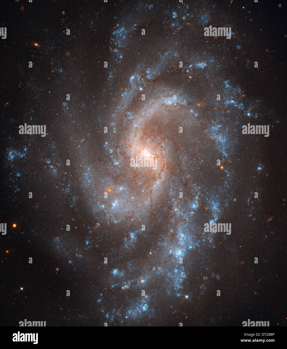 The brilliant, blue glow of young stars traces the graceful spiral arms of galaxy NGC 5584 in this Hubble Space Telescope image. Stock Photo