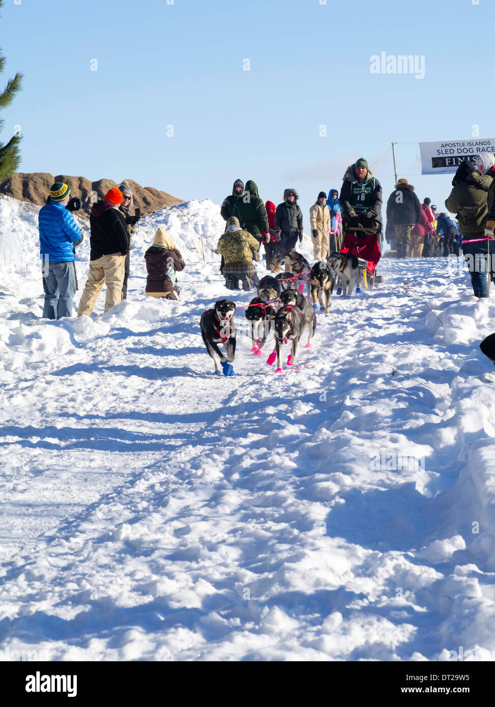 Apostle islands sled dog races hires stock photography and images Alamy