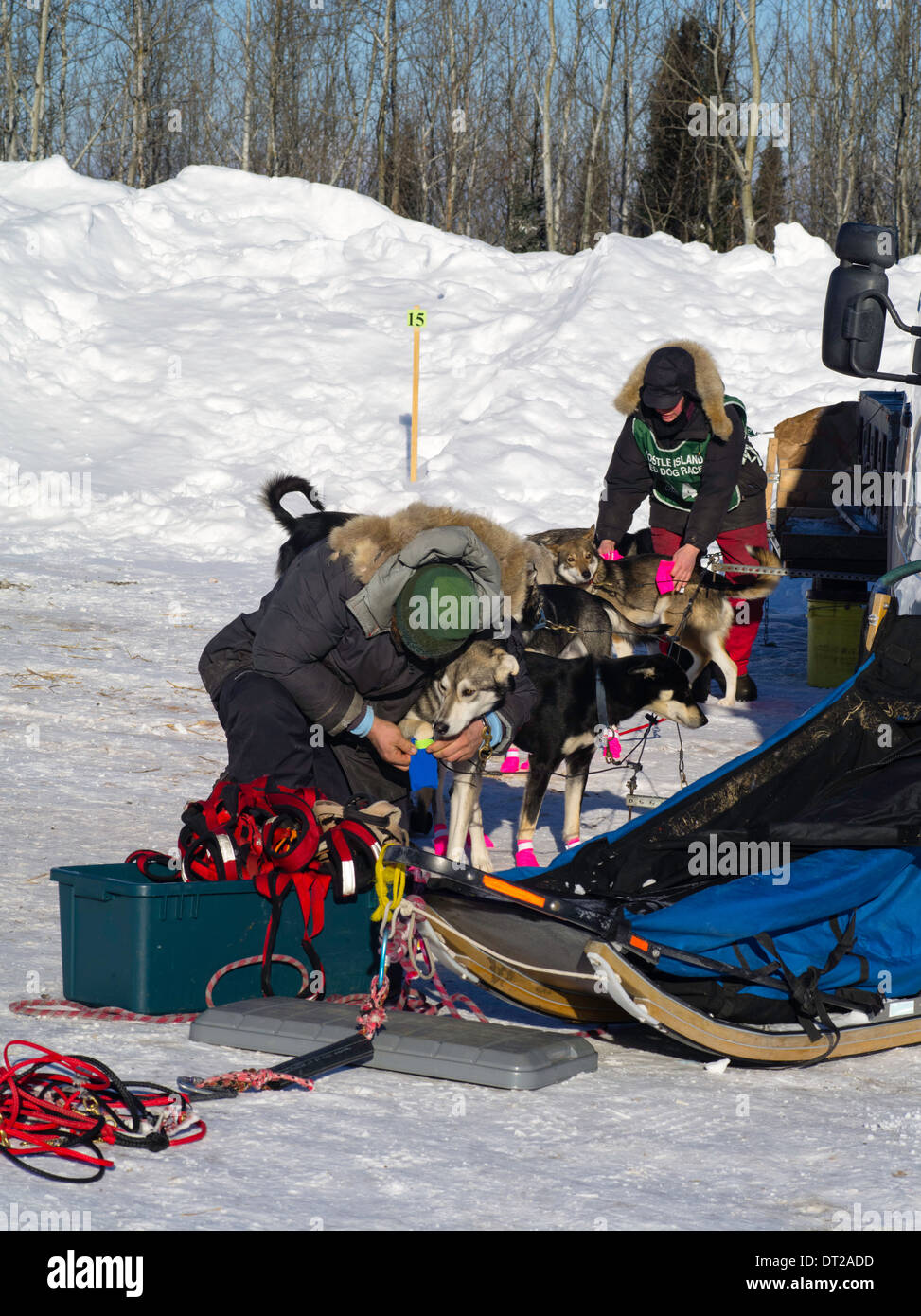 Scenes from the Apostle Islands Sled Dog Race, hosted by the Bayfield