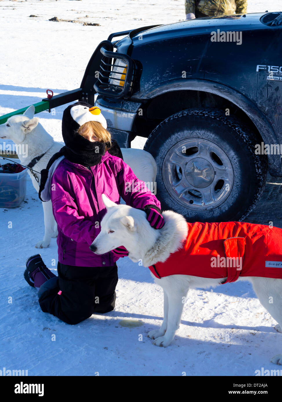 Scenes from the Apostle Islands Sled Dog Race, hosted by the Bayfield