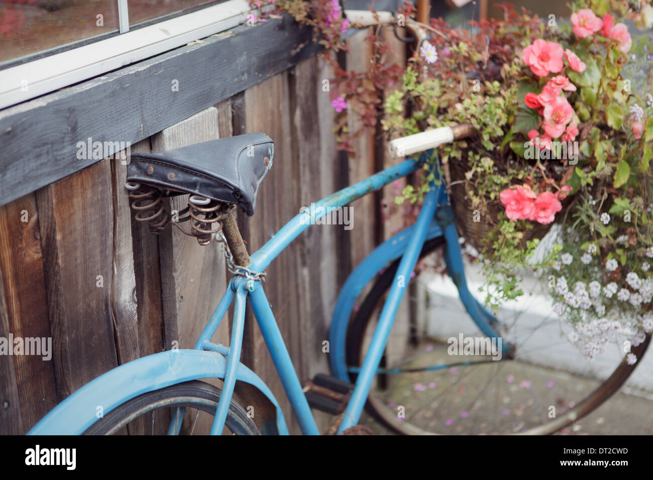 An antique bike with a basket full of flowers Stock Photo
