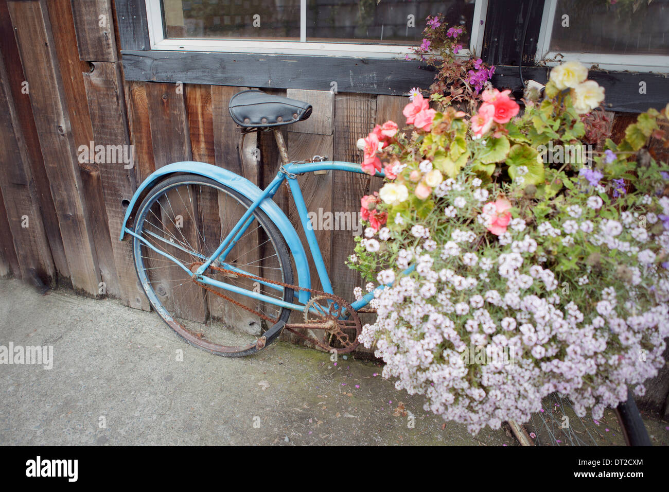 Antique Bicycle with basket full of flowers Stock Photo 66436908 Alamy