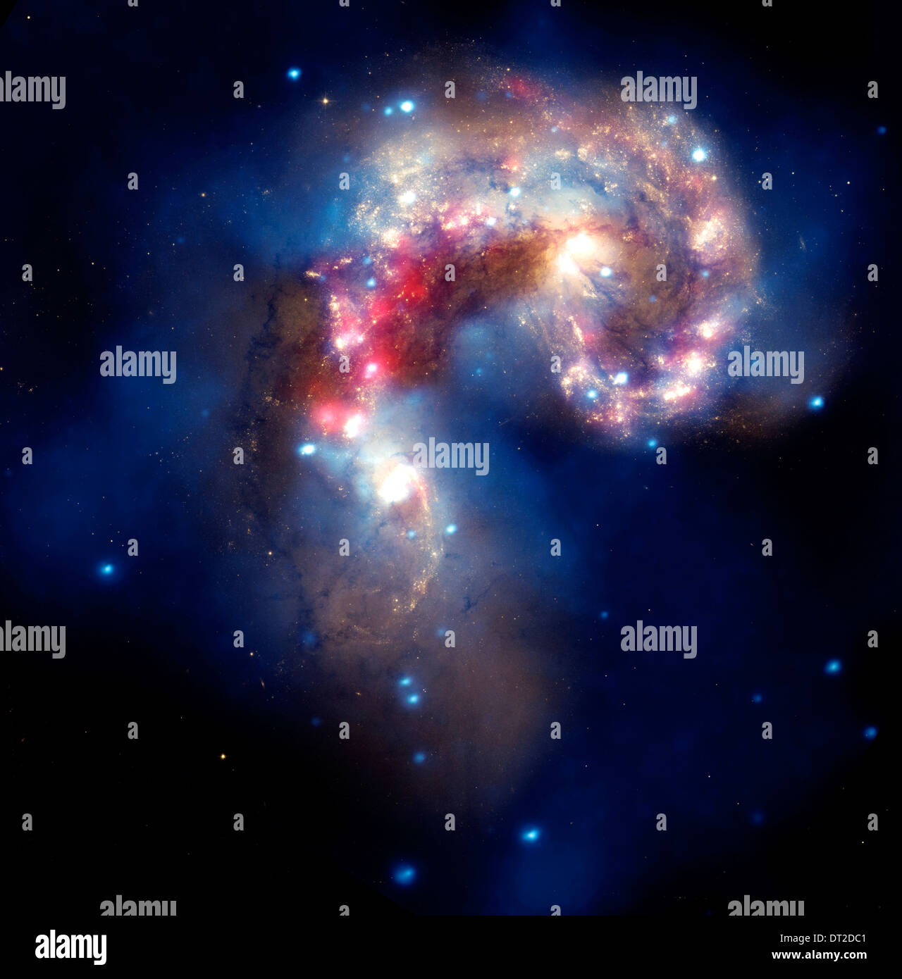 The two tangled Antennae galaxies,  located about 62 million light-years from Earth. Stock Photo