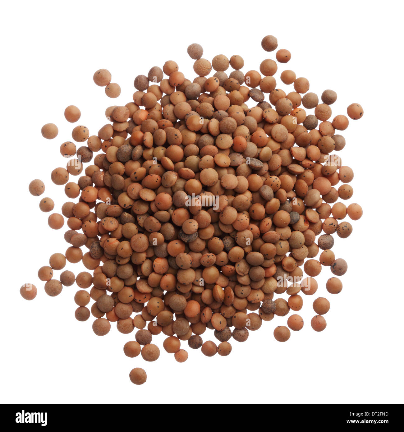 Uncooked lentils isolated on white background Stock Photo Alamy