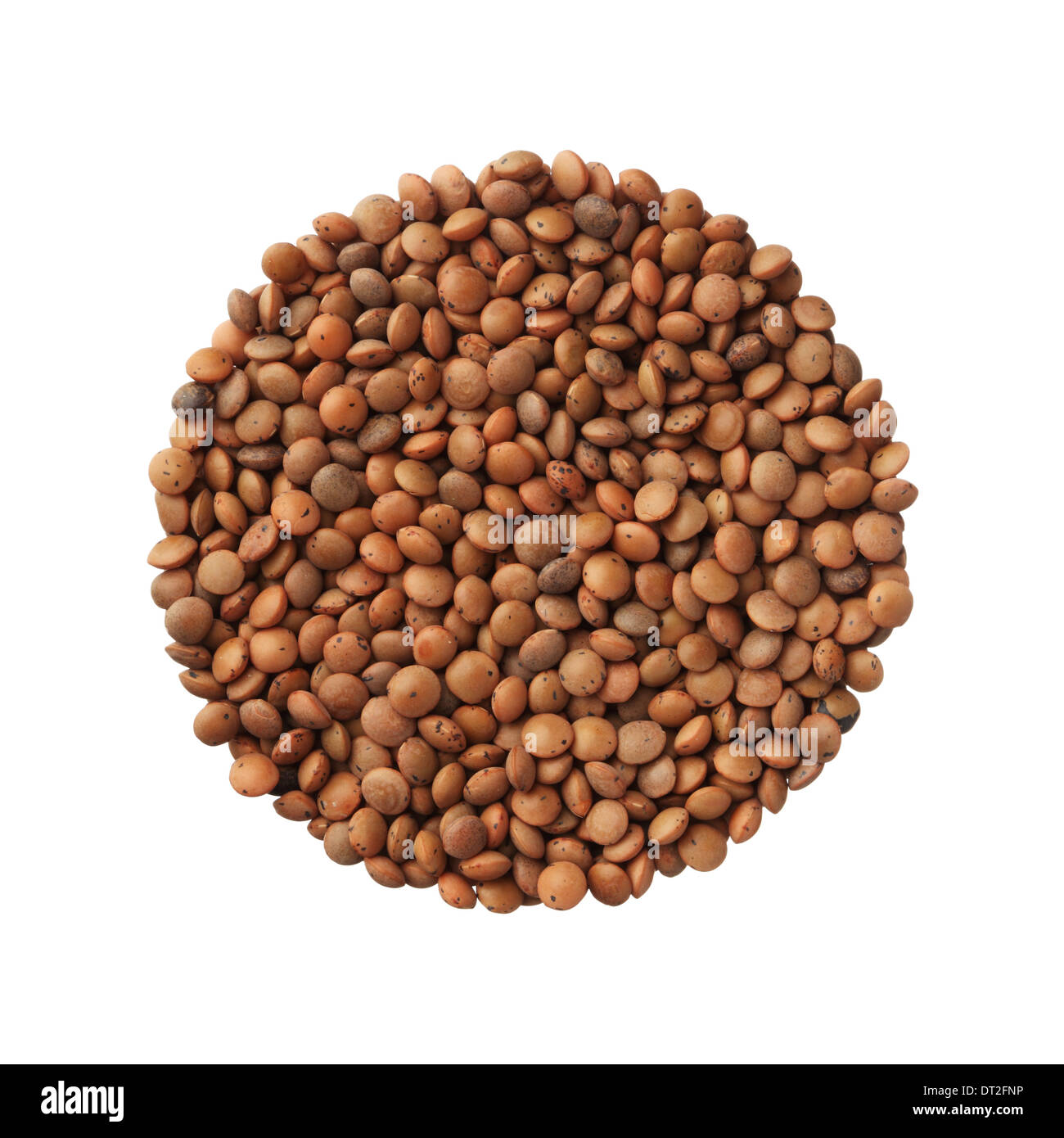 Uncooked lentils isolated on white background Stock Photo - Alamy