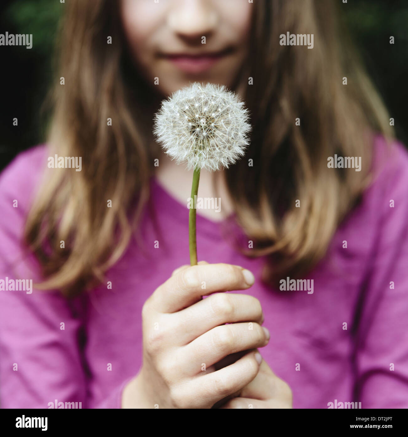 A ten year old girl holding a dandelion clock seedhead on a long stem Stock Photo