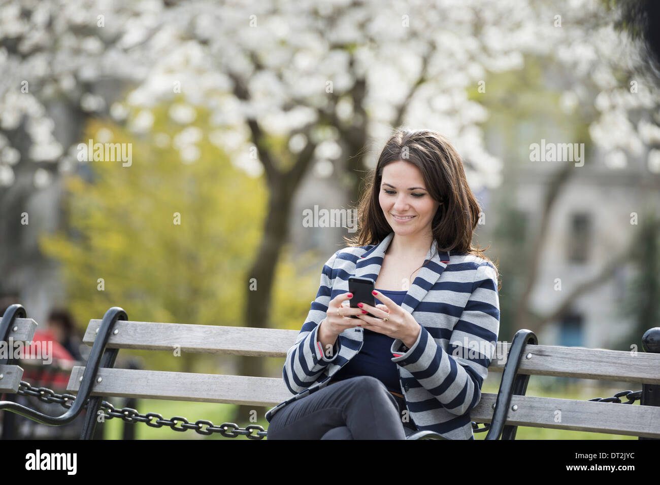 Spring time New York City park White blossom on the trees A woman sitting on a bench holding her mobile phone Stock Photo