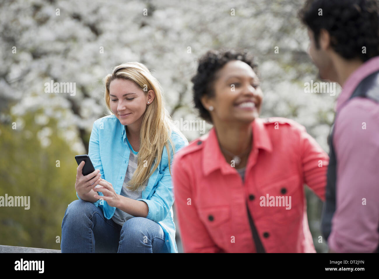 Spring time New York City park White blossom on the trees A woman sitting on bench holding her mobile phone A couple beside her Stock Photo