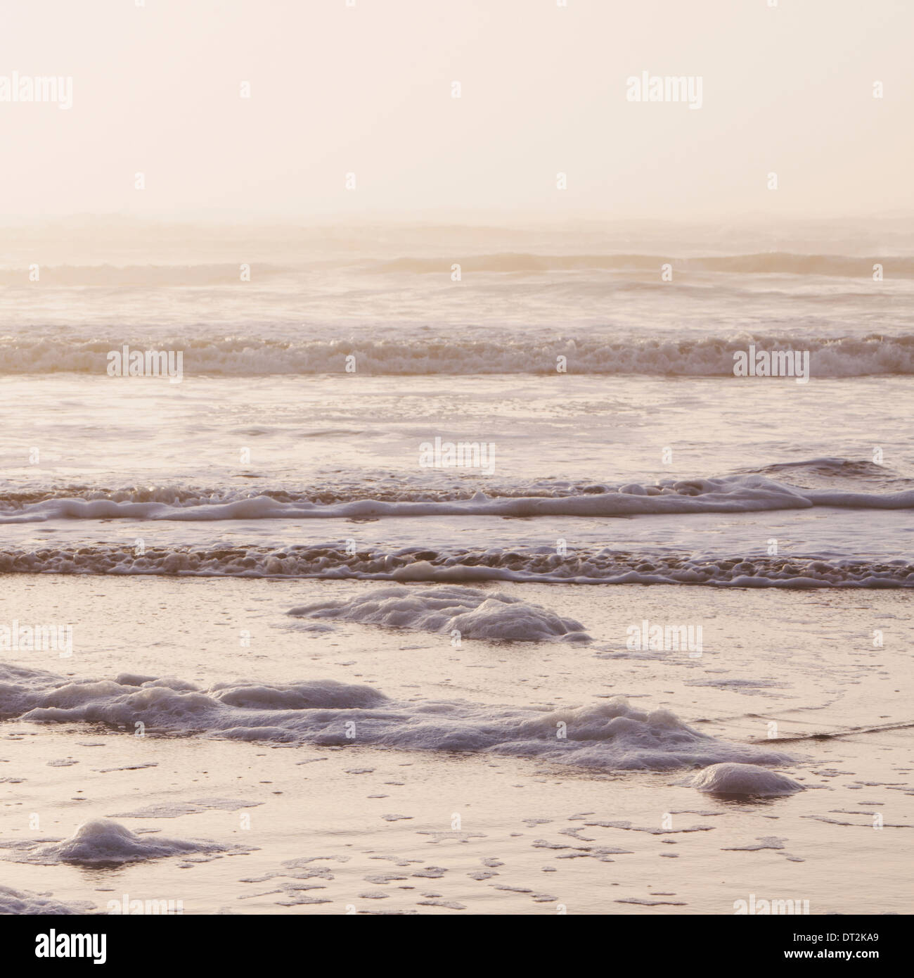 Seascape at dusk Waves breaking on the shore Tidal zone Off the shores of the Olympic National park in Washington USA Stock Photo