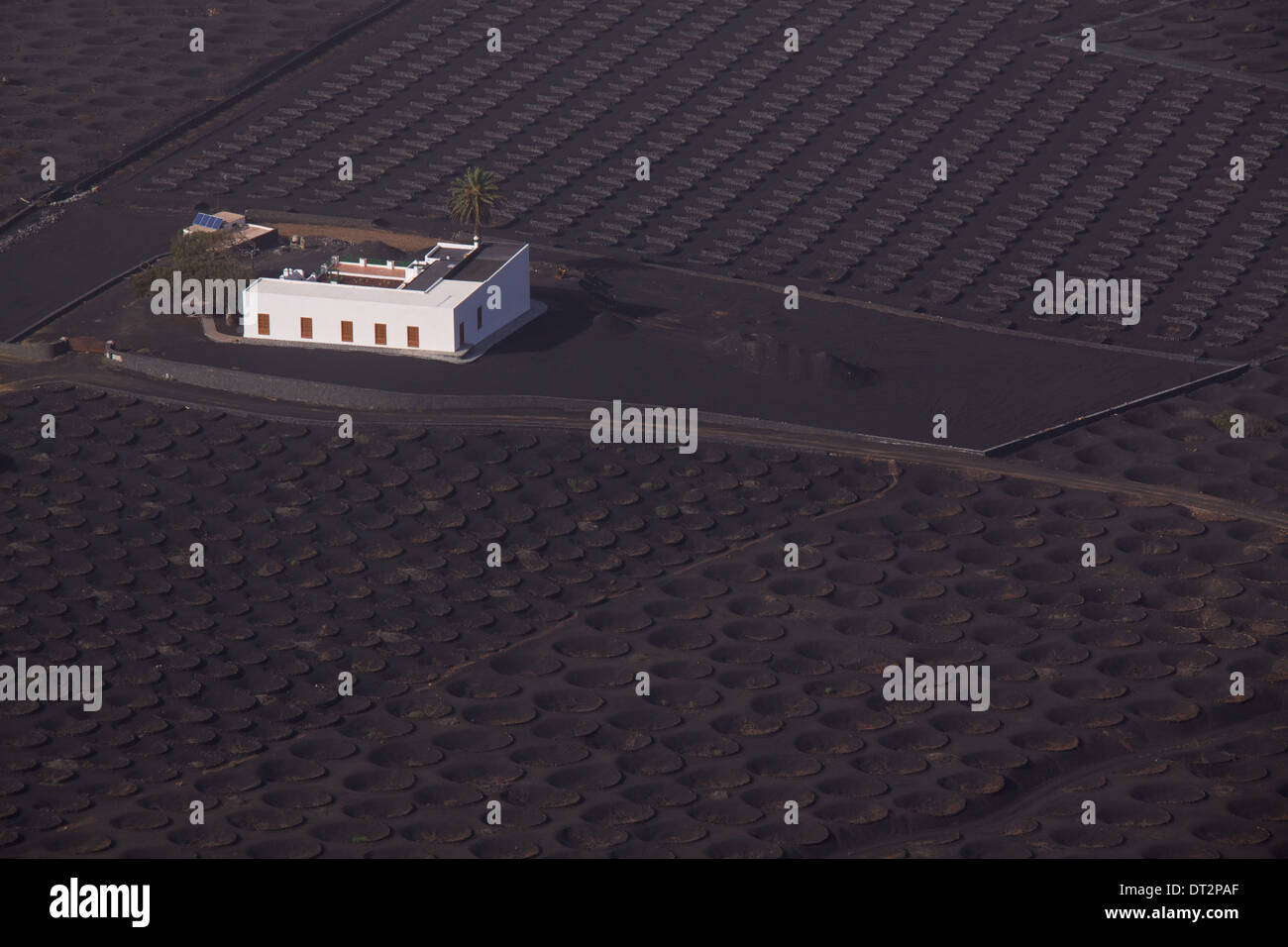 Agricultural farm on fertile volcanic island of Lanzarote, Canary