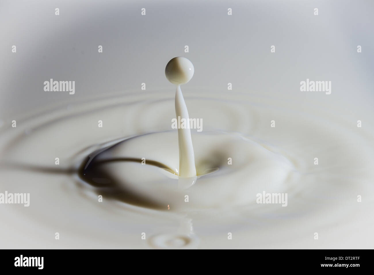 Milk drop falling Stock Photo Alamy