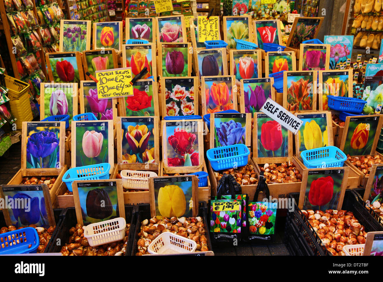 Tulip Bulb souvenirs at the Flower Market in Amsterdam, Holland Stock Photo