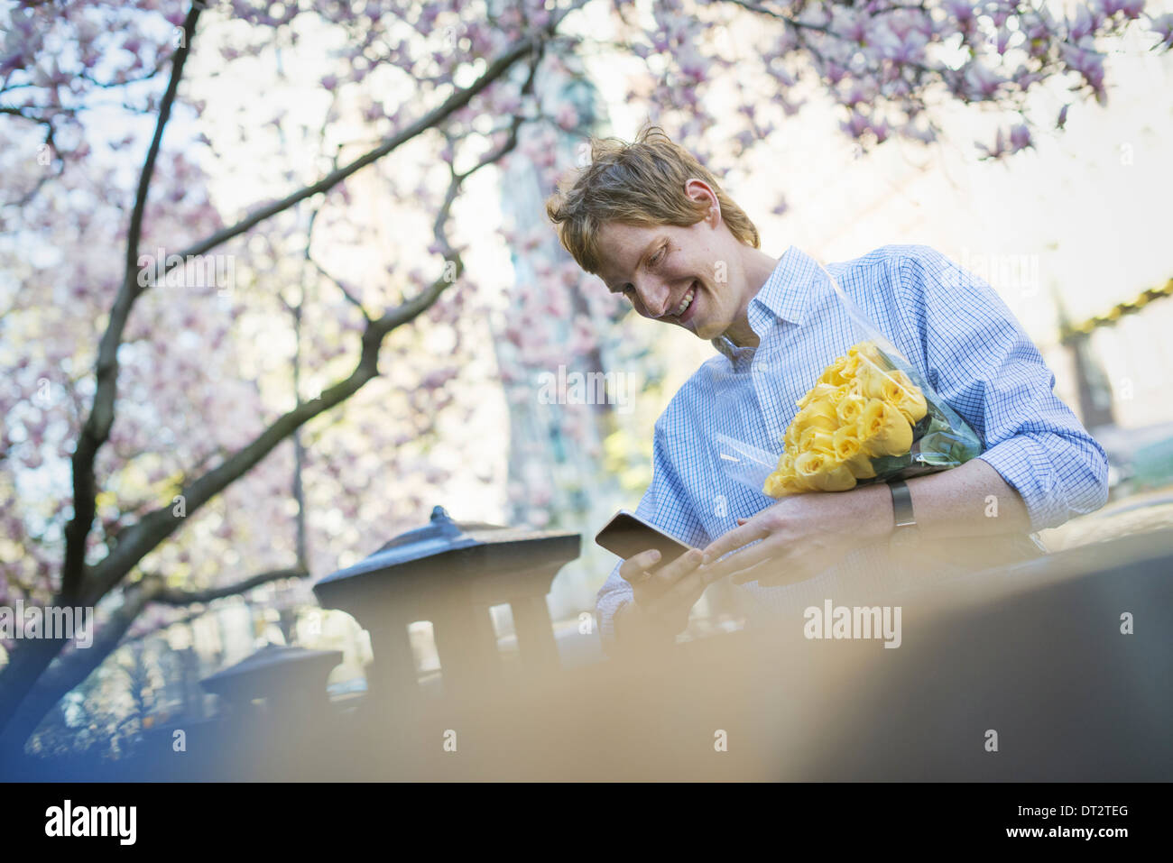 A young man in the park in spring using a mobile phone Holding a bunch of yellow roses Stock Photo