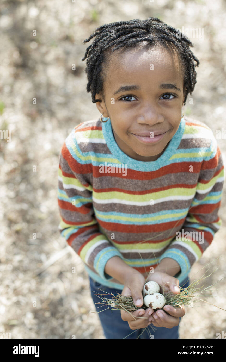 A small boy in a striped shirt holding a nest with three birds eggs Stock Photo