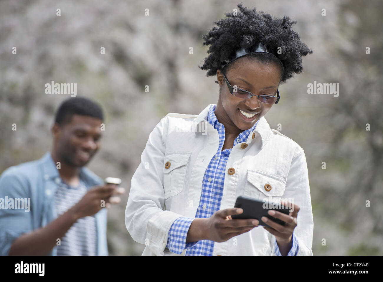 Outdoors city in spring An urban lifestyle A man and woman both checking their phones In the park under the cherry blossom Stock Photo