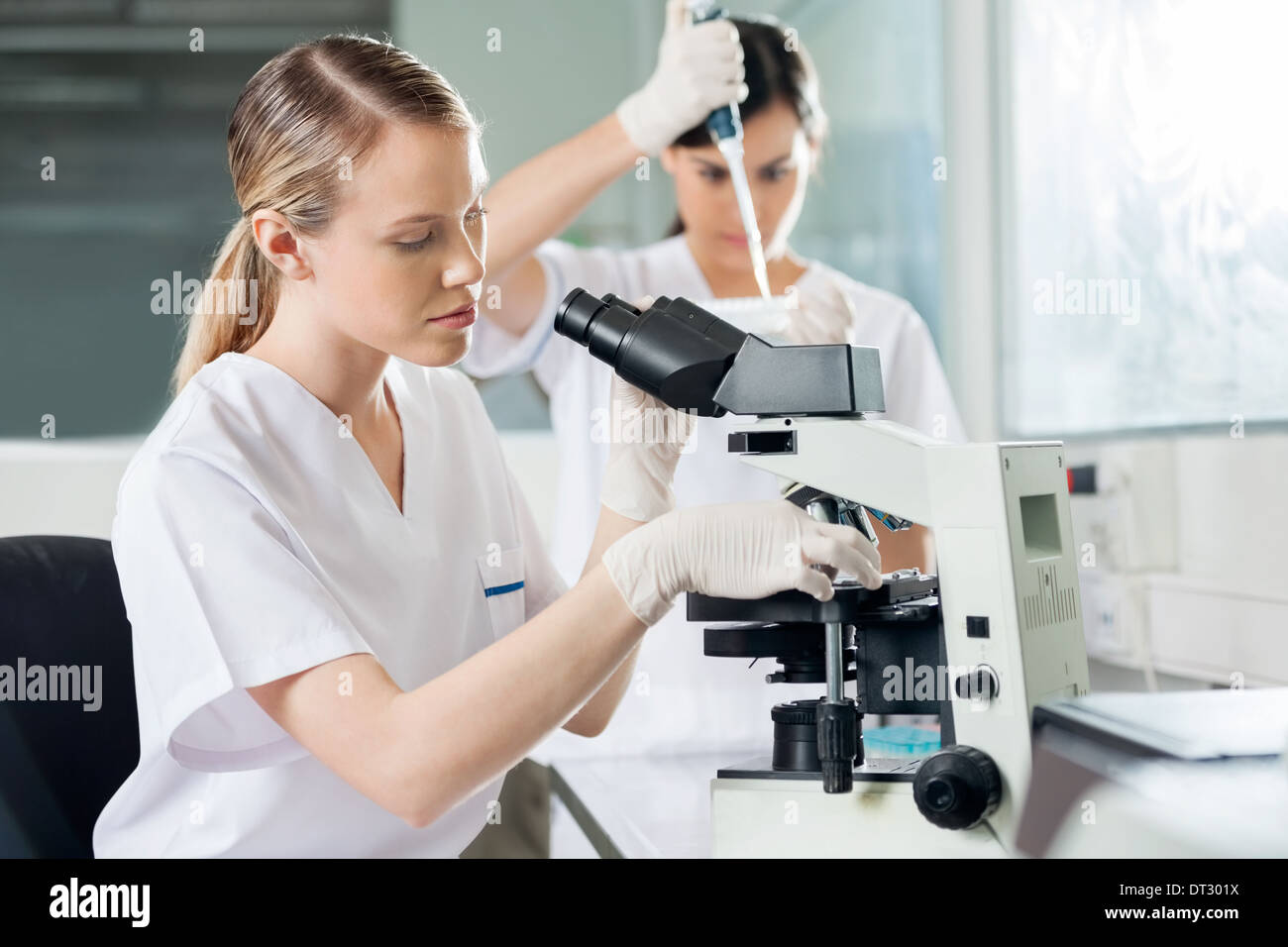 Scientist Using Microscope In Lab Stock Photo - Alamy