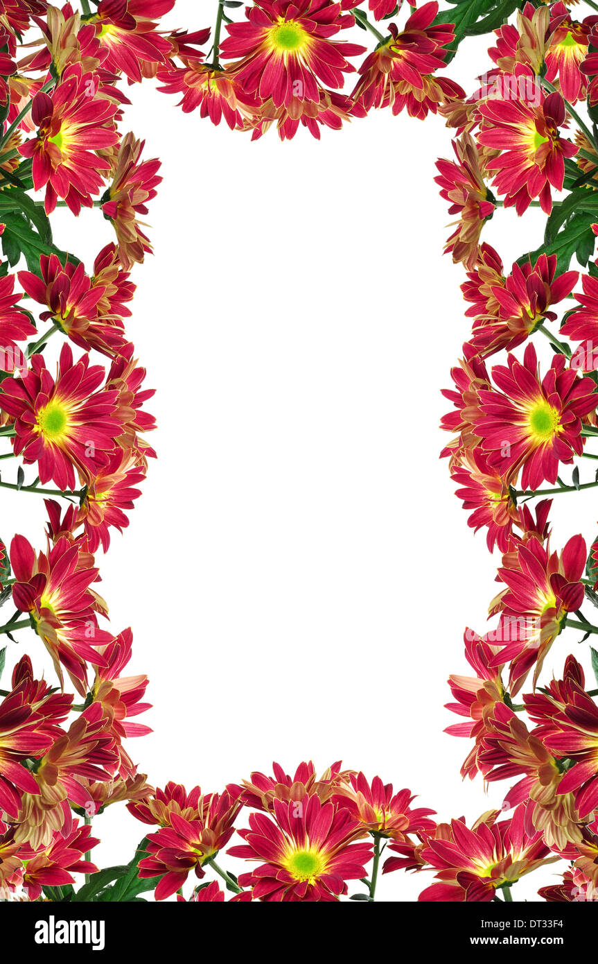 Flowers frame isolated on a white background Stock Photo - Alamy