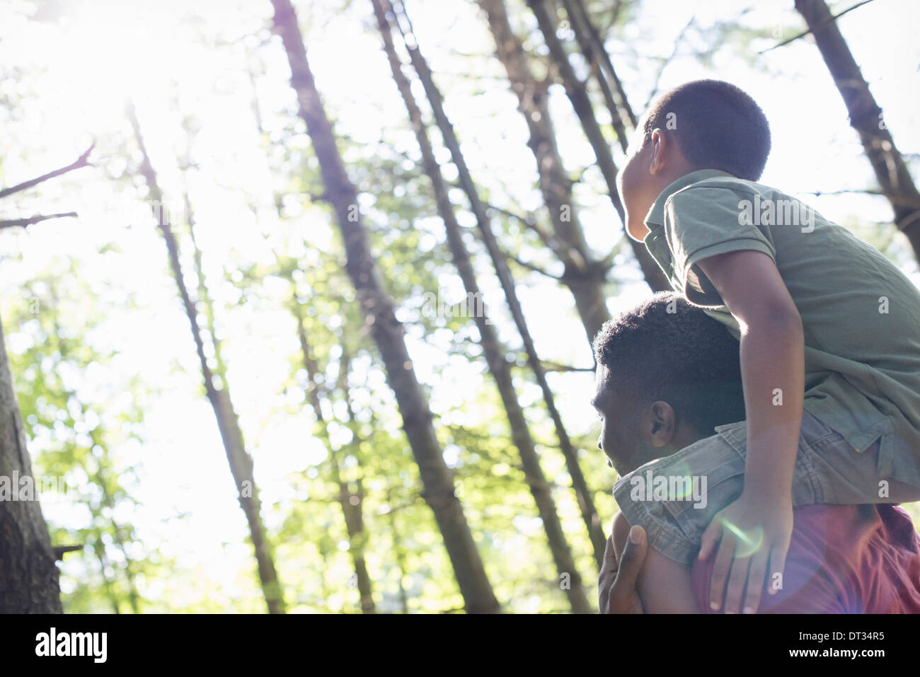 A boy sitting on his father's shoulders Stock Photo