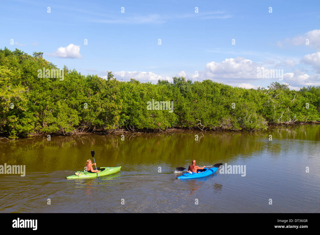 Florida Sanibel Barrier Island,J.N. JN Ding Darling National Wildlife Refuge,adult adults man men male,woman women female lady,couple,kayaks,kayaking, Stock Photo