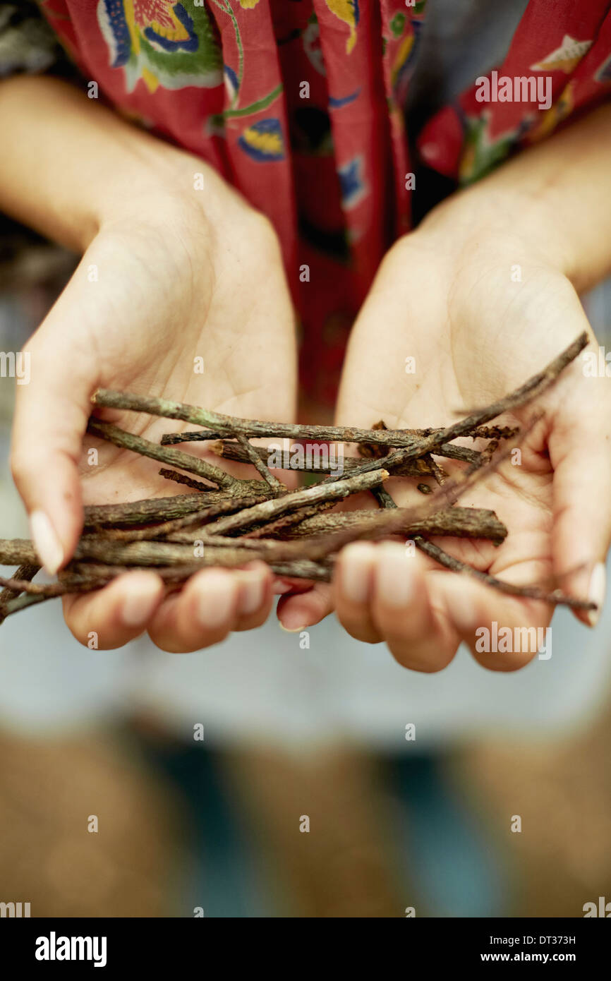 small bunch of twigs kindling for the camp fire Stock Photo