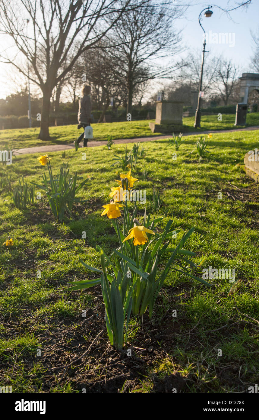 Spring like weather in february hi-res stock photography and images - Alamy