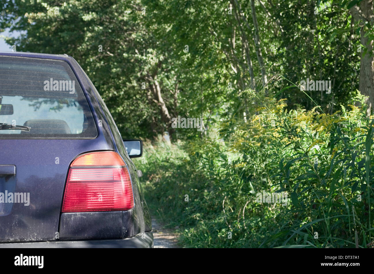 Car Parked Beside A Woodland Stock Photo - Alamy