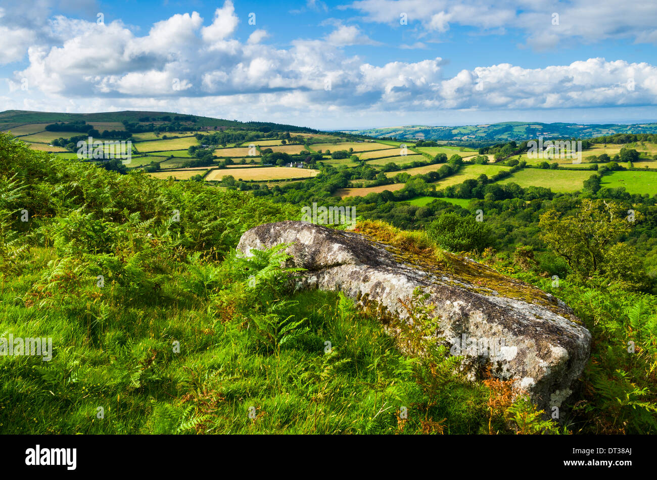 Dartmoor National Park landscape viewed north from Hayne Down near
