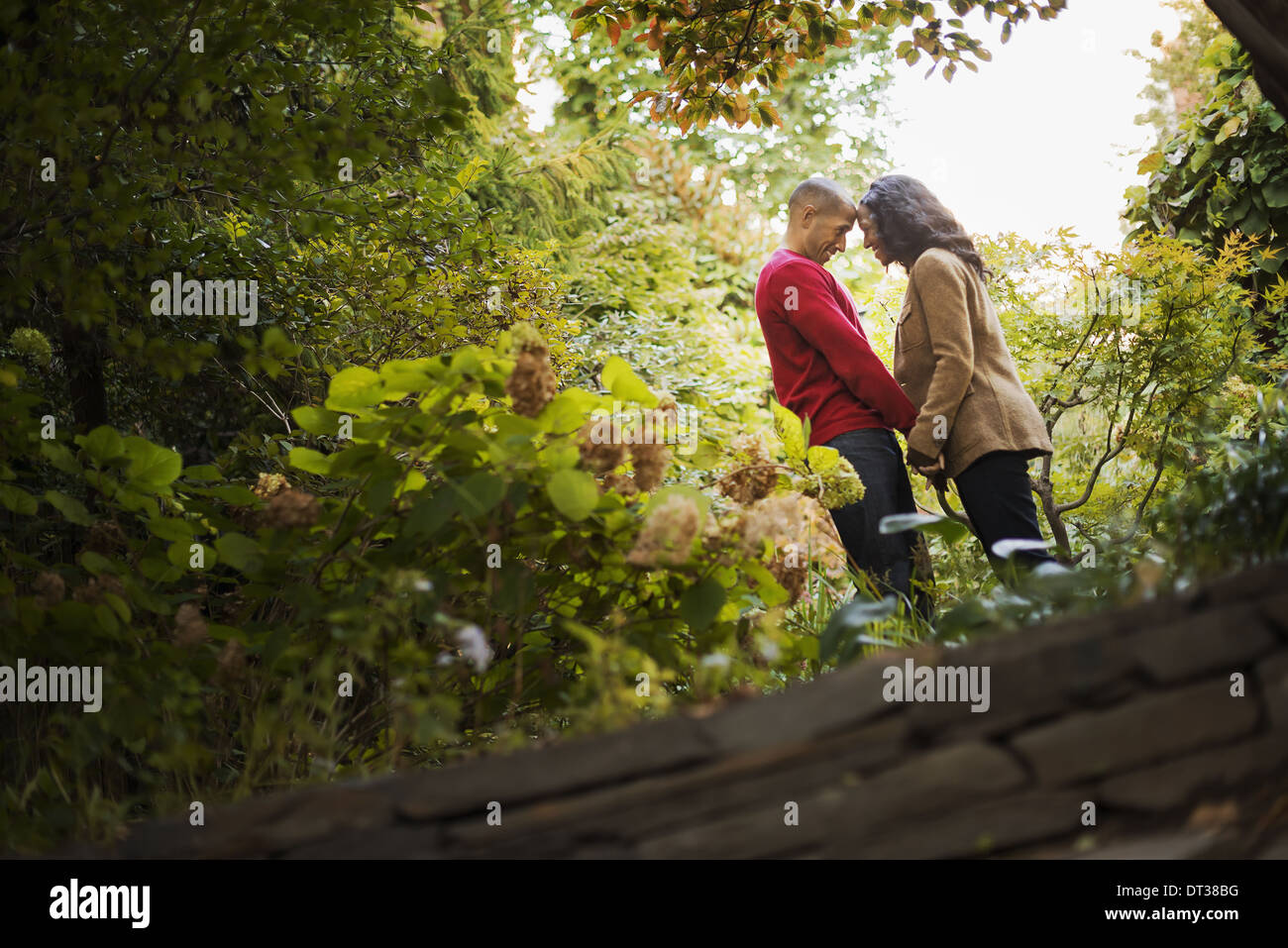Scenes from urban life in New York City. A park with trees. A man and a ...