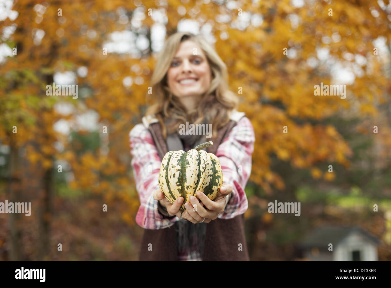 Organic farm. A woman holding a large striped squash vegetable. Stock Photo