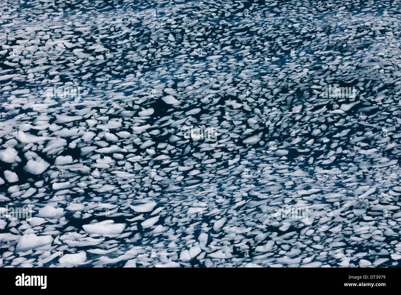 Ice chunks afloat, Antarctica Stock Photo - Alamy