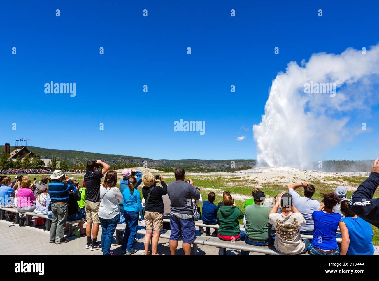 Tourists watching the eruption of Old Faithful Geyser, Upper Geyser Basin, Yellowstone National Park, Wyoming, USA Stock Photo
