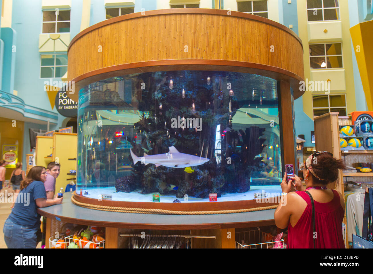 Cocoa Beach Florida,Four Points by Sheraton,hotel hotels lodging inn