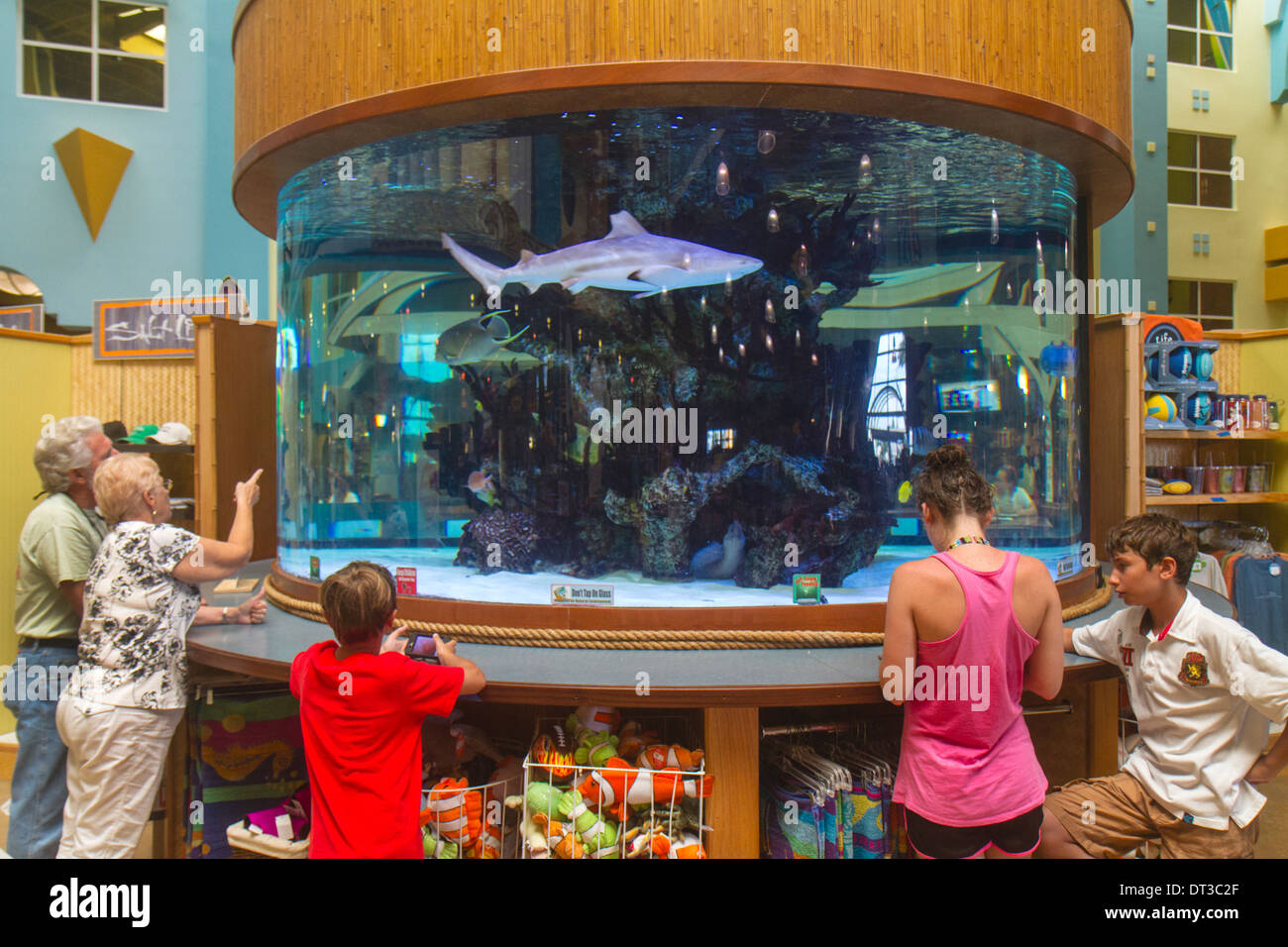 Cocoa Beach Florida,Four Points by Sheraton,hotel hotels lodging inn