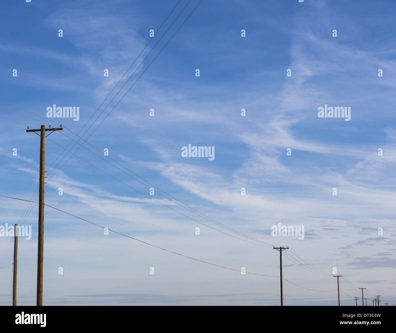 Telephone poles and power lines in a line across the landscape at