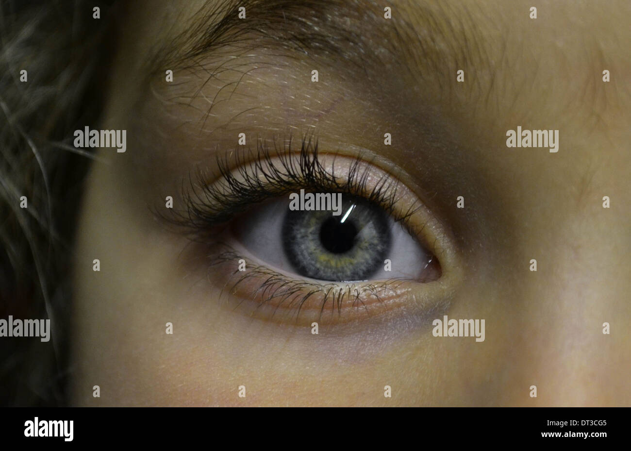 Blue eyes hi-res stock photography and images - Alamy