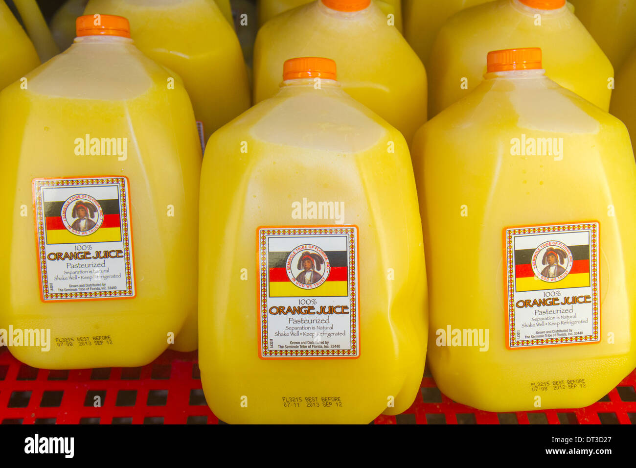 Okeechobee Florida,Seminole Tribe,Brighton Indian Reservation,Native