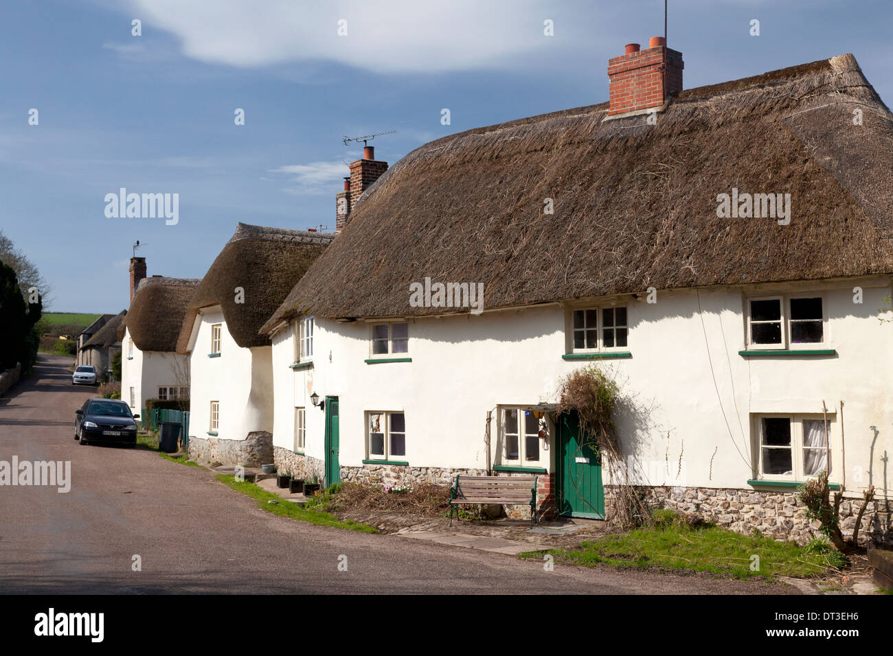 Thatched cottages in the village centre, Gittisham, Devon Stock Photo