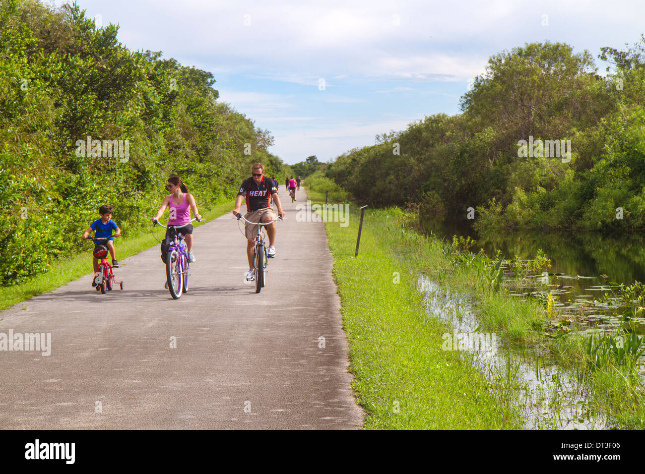 Miami Florida,Everglades National Park,Shark Valley,Tram Tour Trail,bike,bicycles,man men male,father,woman female women,mother,boy boys,male kid kids Stock Photo