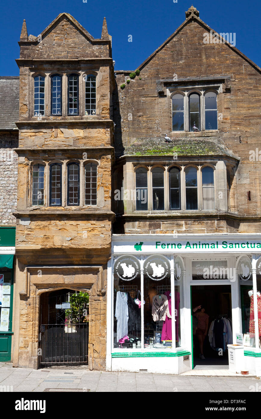 Ferne Animal Sanctuary shop in 16th century building in Fore Street, Chard, Somerset Stock Photo