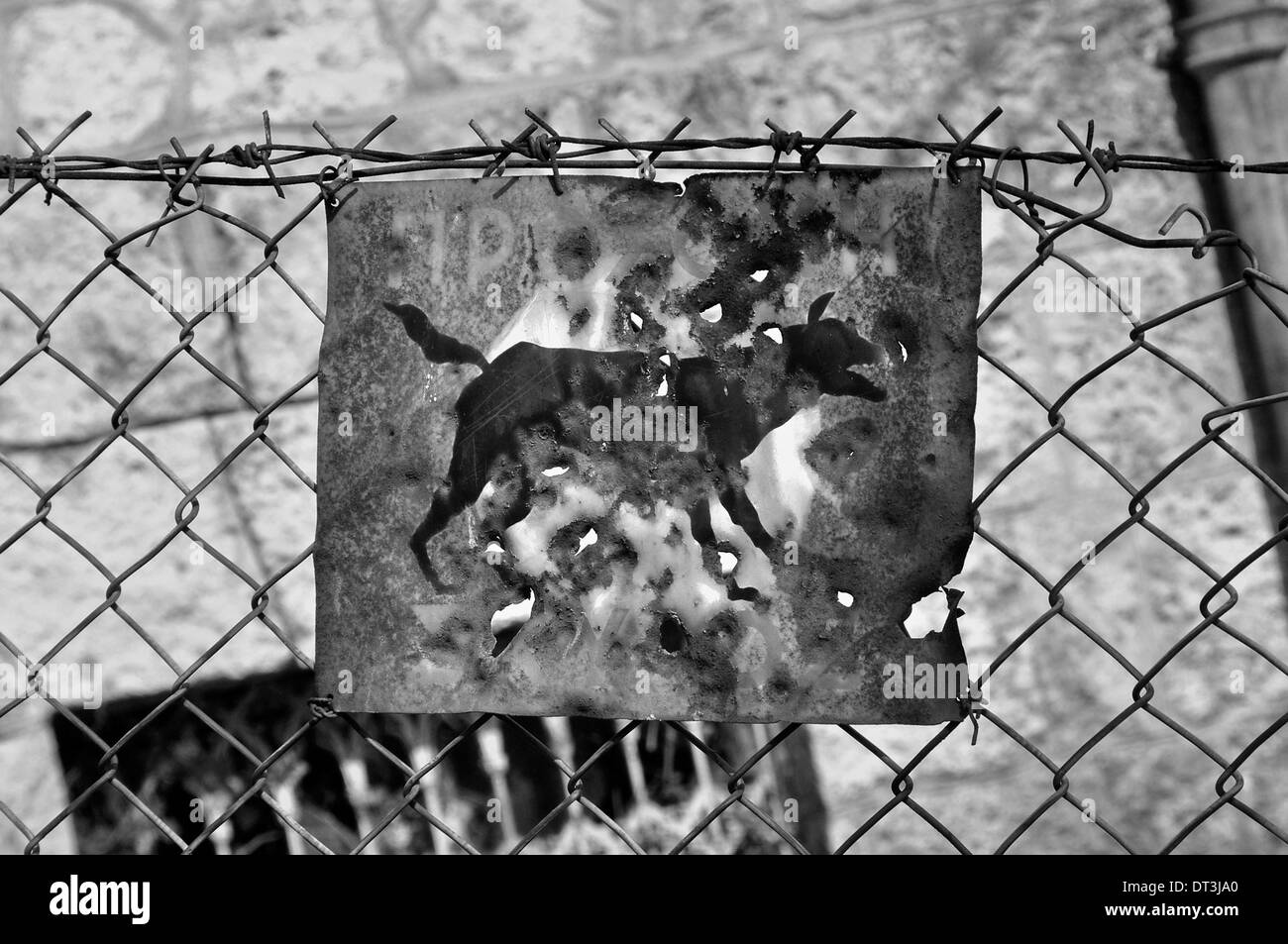 Beware of the dog rusty sign and barbed wire fence. Black and white. Stock Photo