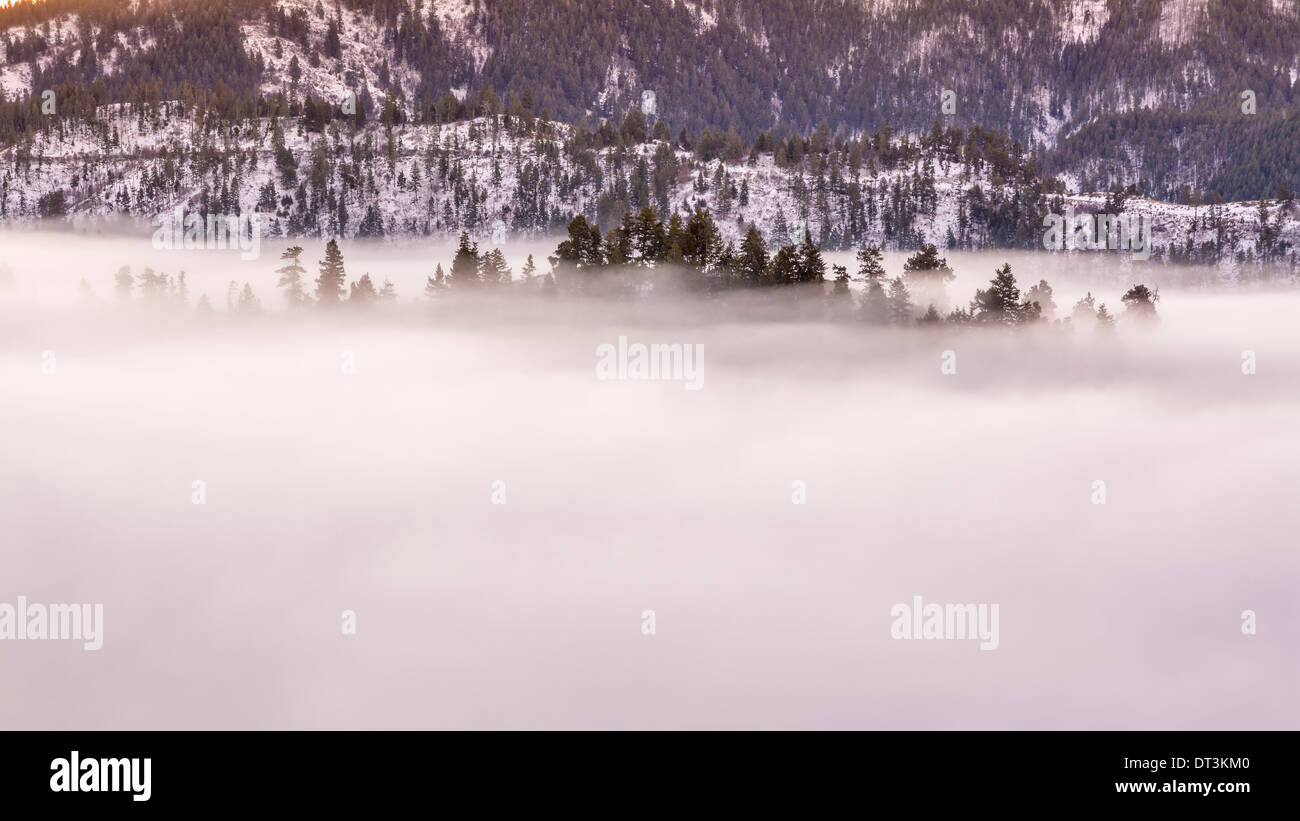 Fog covers hi-res stock photography and images - Alamy