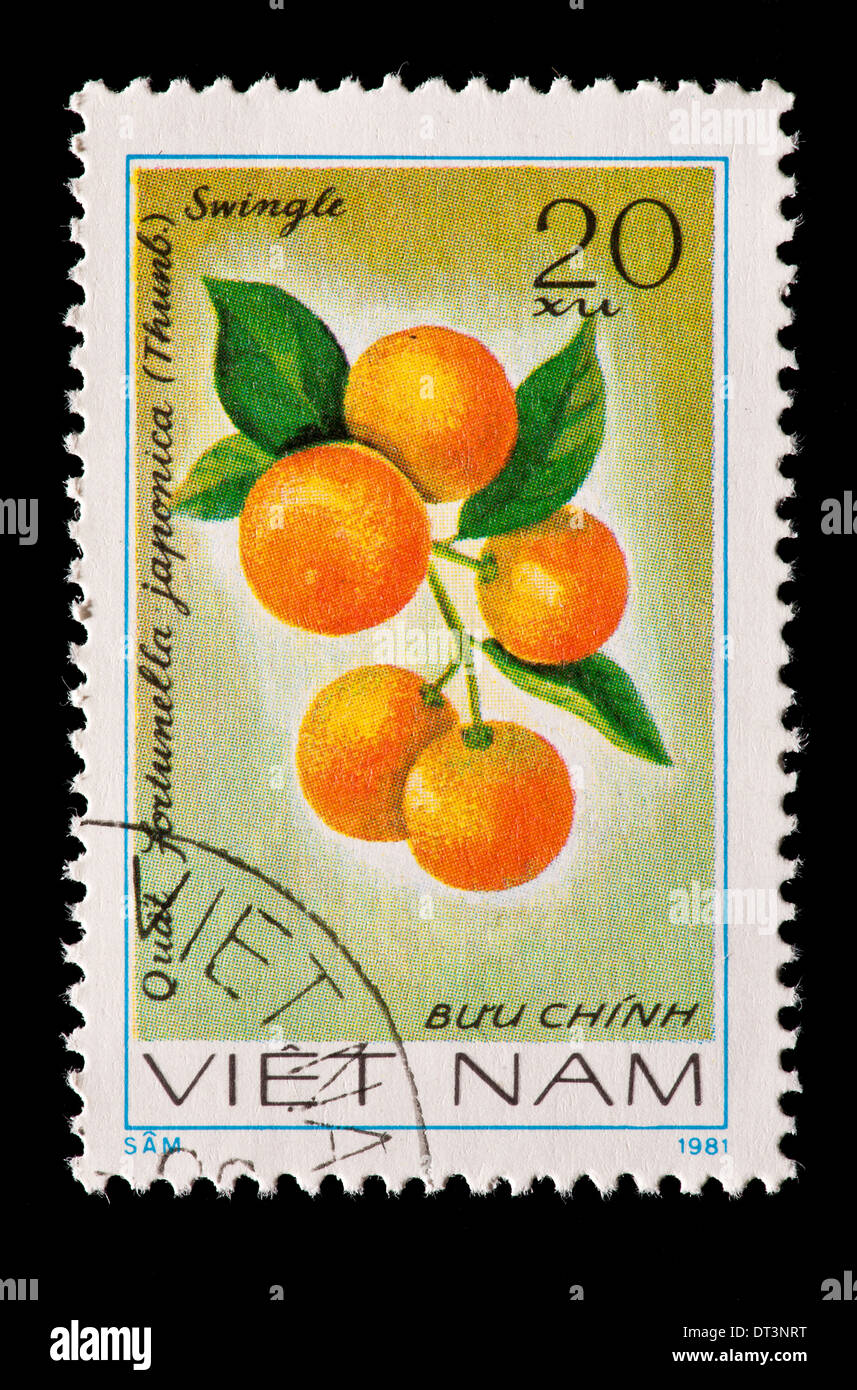 Postage stamp from Vietnam depicting Marumi Kumquat or Morgani Kumquat fruits (Fortunella japonica) Stock Photo