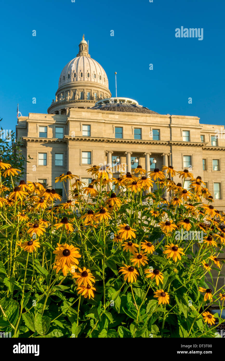 Flowers and a government capital building Stock Photo